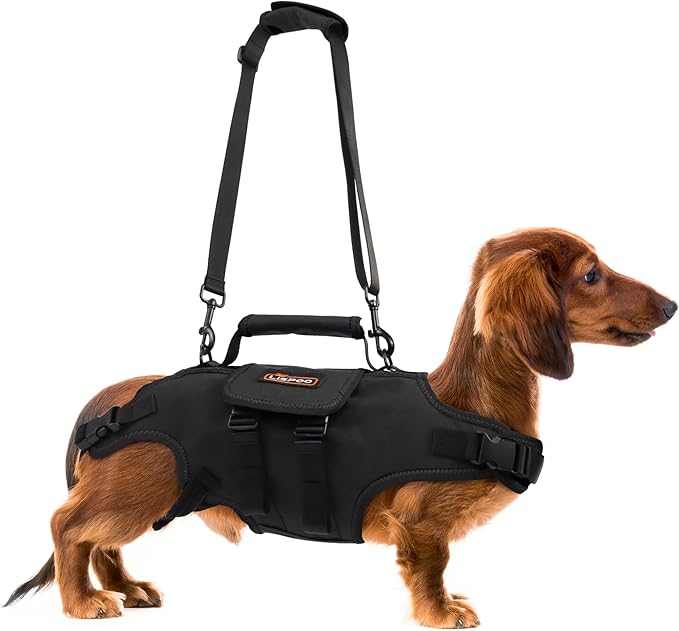 Dog Lift Harness, Full Body Support with Adjustable Control Handle for Medium Senior Dogs, Post-Surgery Recovery & Joint Problems (Oxford Cloth, M)-Mewly Pet