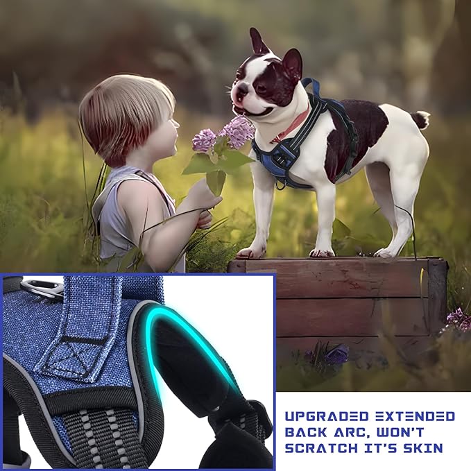 BUMBIN Dog Harness for Large Dogs, No Pull Adjustable No Choke Pet Vest with Dog Leash Fit Smart Reflective Pet Walking Harness for Training Easy Control Soft Handle Denim Blue L-Mewly Pet