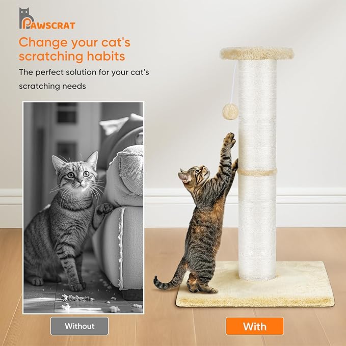 PAWSCRAT Cat Scratching Post 32" Tall, Large Diameter Natural Sisal Cat Scratch Post with Dangling Ball, Scratch-Resistant and Durable Tall Cat Scratcher for Indoor Cats, Protect Your Furniture, Beige-Mewly Pet