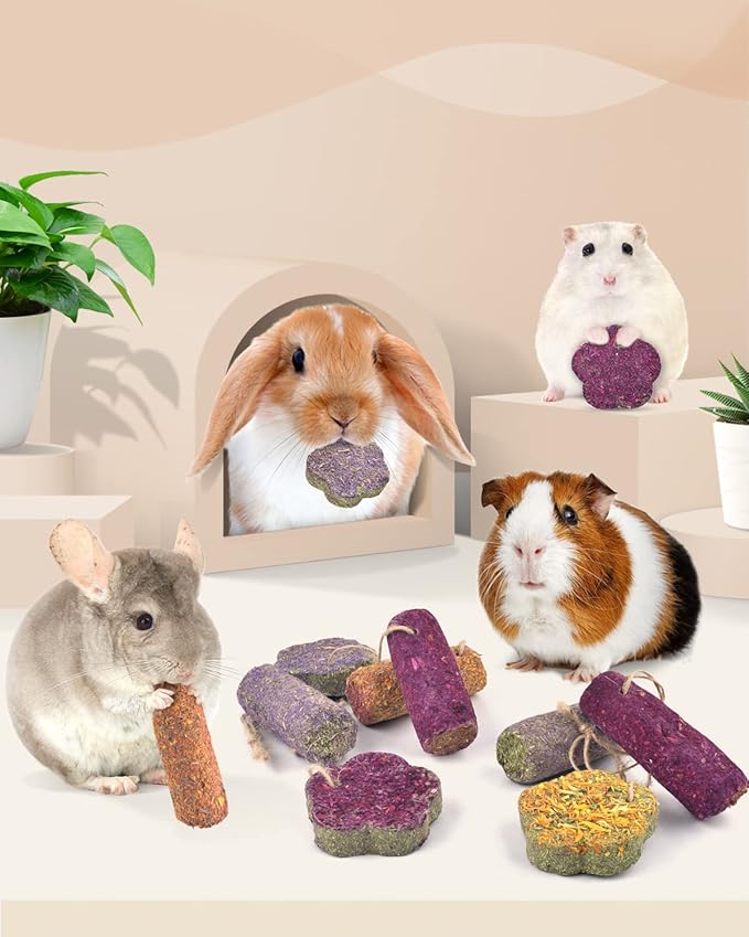 Bissap 12PCS Rabbit Chew Sticks, Hanging Chew Sticks & Cakes Timothy Hay Carrot Strawberry Treat for Bunny Chinchilla Guinea Pig Hamster and Other Small Pets Molar Snack Toy-Mewly Pet