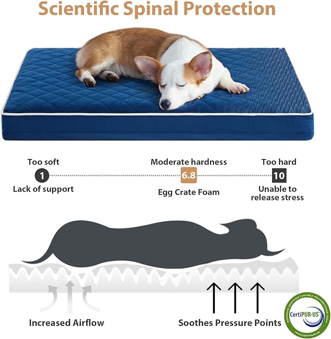 WNPETHOME Orthopedic XL Dog Bed for Crate, Waterproof Extra Large Dogs Bed with Removable Washable Cover, Multi-Needle Quilting Dogs Crate Bed-Mewly Pet