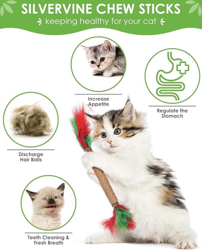 TINDTOP Silvervine Chew Sticks for Cats, 12 Pack Natural Catnip Chew Toys for Kittens Teeth Cleaning, Matatabi Dental Care, Increase Appetite Cat Dental Toy-Mewly Pet