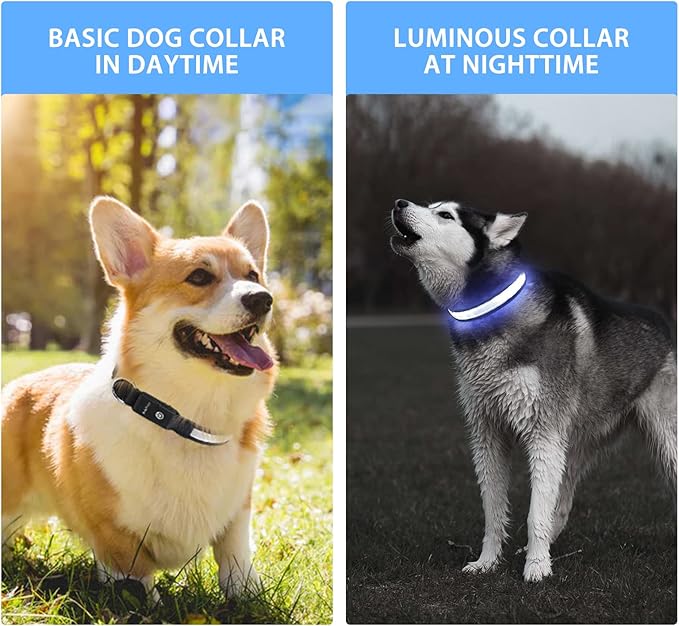PcEoTllar Light up Dog Collar Lights for Night Walking - LED Dog Collar Light Rechargeable Color Changing, Glow in The Dark Dog Collars Waterproof Glowing Dog Collars for Large Small Medium Dogs-Mewly Pet