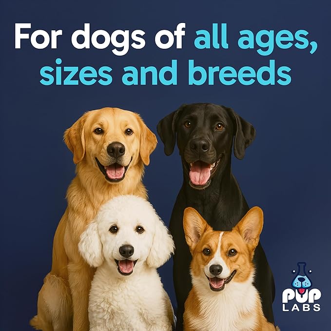 Tummy Essentials Probiotic Chews for Dogs, Supports Gut Health for Dogs and Firm Stools, Helps Eliminate Digestive Dysfunction, Dog Probiotics Made in The USA, 30 Chews-Mewly Pet