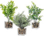MyGift Artificial Rosemary Eucalyptus and Boxwood Plants Potted in Clear Glass Square Pots, Assorted Faux Greenery Indoor Home Table Centerpiece Office Desk Decor, 3 Piece Set