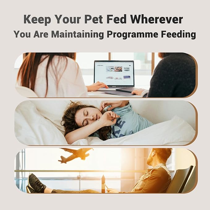 Automatic Cat Feeder: 4L Timed Cats Food Dispenser Programmable 1-6 Meal for Cat and Small Medium Dog- Auto Pet Feeder Easy to Set Up Dual Power Supply with Desiccant Bag| Detachable Washable-Mewly Pet
