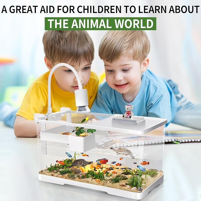 (Tank + Light + Filter + Filter Balls) Turtle Tank Kit, Turtle Tank Starter Kit,Bottom Drainage, Multi-Function Areas for Turtles, Crabs,Fishes, Amphibians,Reptiles. (15.75 x 8.64 x 8.64 Inch)-Mewly Pet