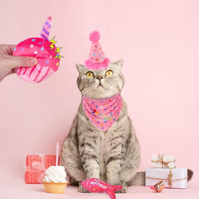 BINGPET Catnip Toys for Indoor Cats, Cat Birthday Hat and Interactive Plush Kitten Chew Toys - Cute Cake, Fish, Balloon Toys with Crinkle Paper and Catnip Inside Pink-Mewly Pet