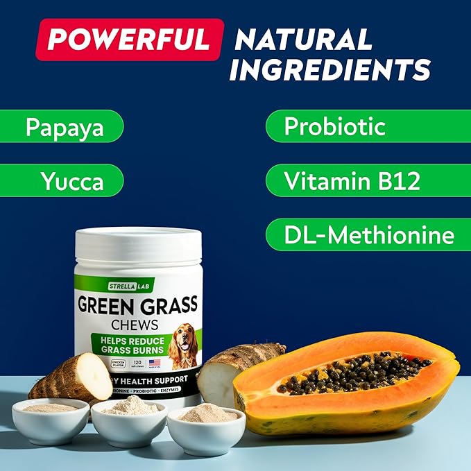 STRELLALAB Green Grass Dog Chews - Dog Pee Grass Helper - Supplement Urine Neutralizer for Grass Burn Spots - Grass Treatment for Pet Urine - Pee Lawn Repair Treats with Probiotics - Made in USA-Mewly Pet