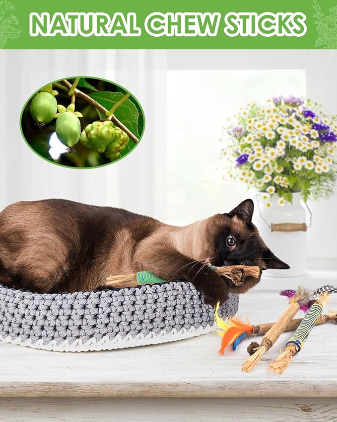 TINDTOP Catnip Chew Toys for Cats, 4 Pack Natural Silvervine Sticks for Kittens Teeth Cleaning, Matatabi Dental Care, Increase Appetite, Aggressive Chewers Cat Dental Toy-Mewly Pet