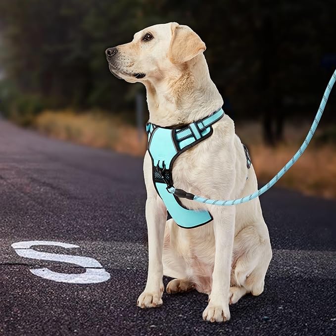 IVY&LANE No Pull Dog Harness with Leash Set, Reflective No Choke Pet Vest,Adjustable Oxford Dog Vest Harness with Easy Control Handle for Large Dogs (Turquoise,XL)-Mewly Pet