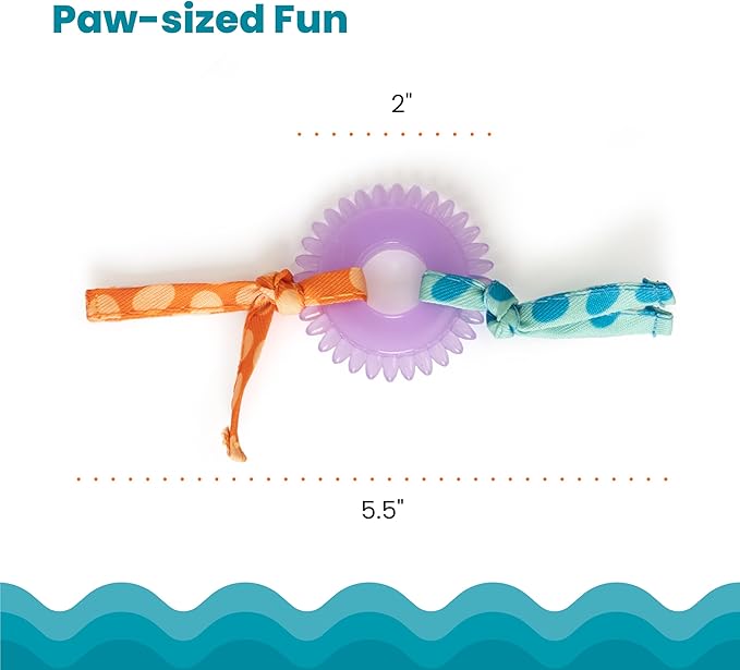 Catstages Kitty Chew Wheel, Dental Cat Toy with Catnip Oil, Teeth Cleaning, Healthy Chewing, Boredom Relief, Kicking & Batting for Kittens and Adult Cats, Purple-Mewly Pet