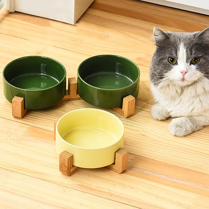 Petygooing Ceramic Dog Cat Bowl Set with Stand, Pet Food and Water Dishes,Medium Pet Bowl Anti -Slip Set of 2 Cat Dish-Pet Food Bowls Small Medium Size Dog (28OZ/6.1 in) Rust Green-Mewly Pet