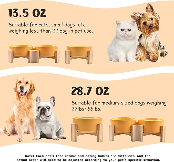 SPUNKYJUNKY 15° Slanted Ceramic Dog and Cat Bowl with Wooden Stand, Tilted Bulldog Food and Water Bowl No Slip Non-Spill for Cats Medium Dogs Big Face Pets 13.5 OZ (1.7 Cups, Yellow × 2)-Mewly Pet