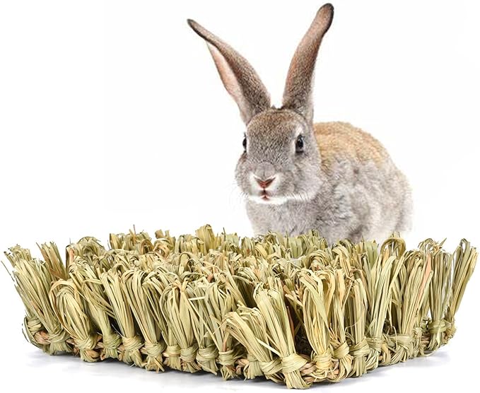 Hamiledyi Rabbit Grass Bed Bunny Natural Straw Woven Mat Guinea Pig Hay Mat Chew Mat for Rabbit Guinea Pig Chinchilla Squirrel Hedgehog(10.6x7.5x3.5inches)-Mewly Pet