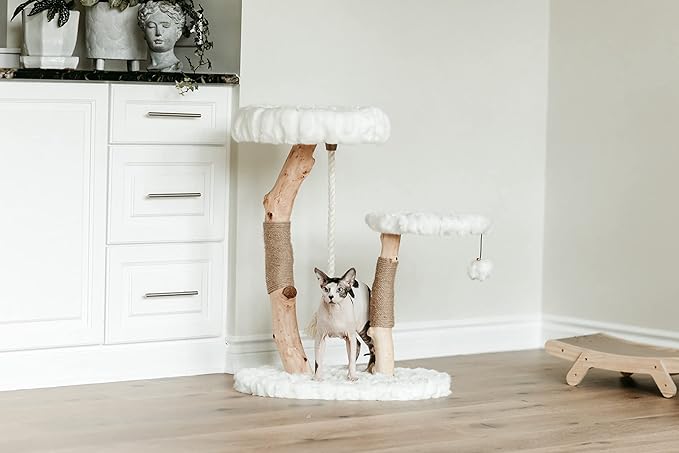 Mau Lifestyle Luxury Cat Tree: Modern Cat Condo & Luxury Wood Cat Tower; Natural Branch Scratching Tree & Cat Condo; Cat Gifts by Mau-Mewly Pet