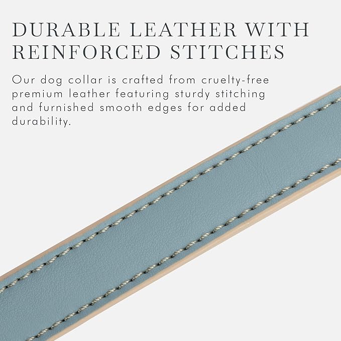 Cupertino Dog Collars, Harnesses & Leashes Made from Vegan Leather with Dog Tracker Device Holder Adjustable Dog Collar (Extra Small, Blue)-Mewly Pet