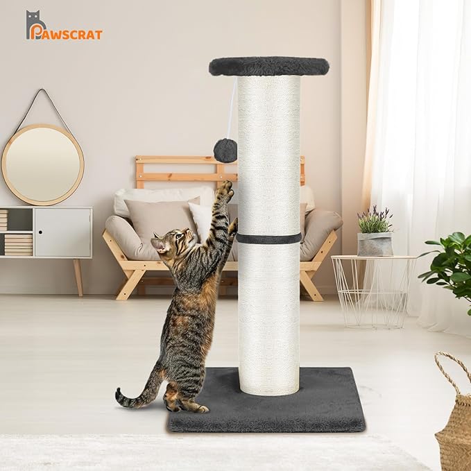 PAWSCRAT Cat Scratching Post 32" Tall, Large Diameter Natural Sisal Cat Scratch Post with Dangling Ball, Scratch-Resistant and Durable Tall Cat Scratcher for Indoor Cats, Protect Your Furniture, Grey-Mewly Pet