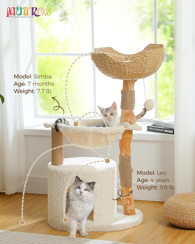 Modern Cat Tree for Large Cats, Wood Cat Tower for Indoor Cats, Real Branch Luxury Cat Furniture with Super Large Cozy Condo and Hammock & Scratching Post, Top Basket, White-Mewly Pet