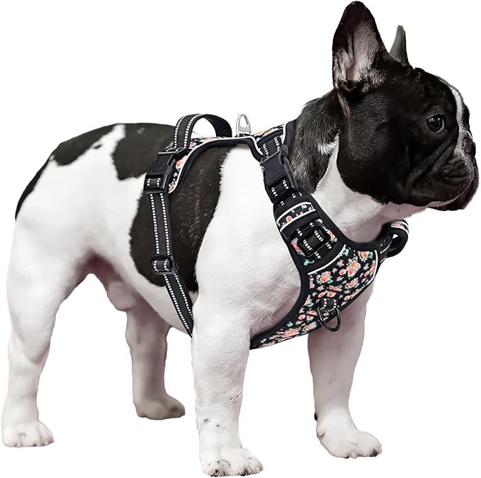 Timos Dog Harness, 3 Snap Buckles No-Pull Soft Padded Dog Vest with 2 Metal Leash Clips,Adjustable Reflective No Choke Pet Harness with Easy Control Handle for Small Dogs,Black Rose,S-Mewly Pet