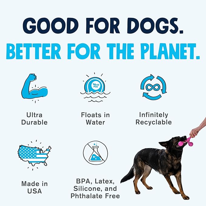 WEST PAW Zogoflex Air Skamp Tug-of-War Stick Dog Chew Toy – Hollow, Squishy Interactive Toy for Dogs, Puppies – for Chewing, Catch, Carry, Fetch, Dishwasher Safe, Latex-Free, Large 8.5", Aqua Blue-Mewly Pet