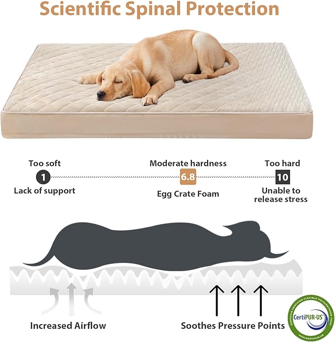 WNPETHOME Orthopedic XL Dog Beds Large Sized Dog, Waterproof Extra Large Dogs Bed with Removable Washable Cover, Multi-Needle Quilting Dogs Crate Bed-Mewly Pet