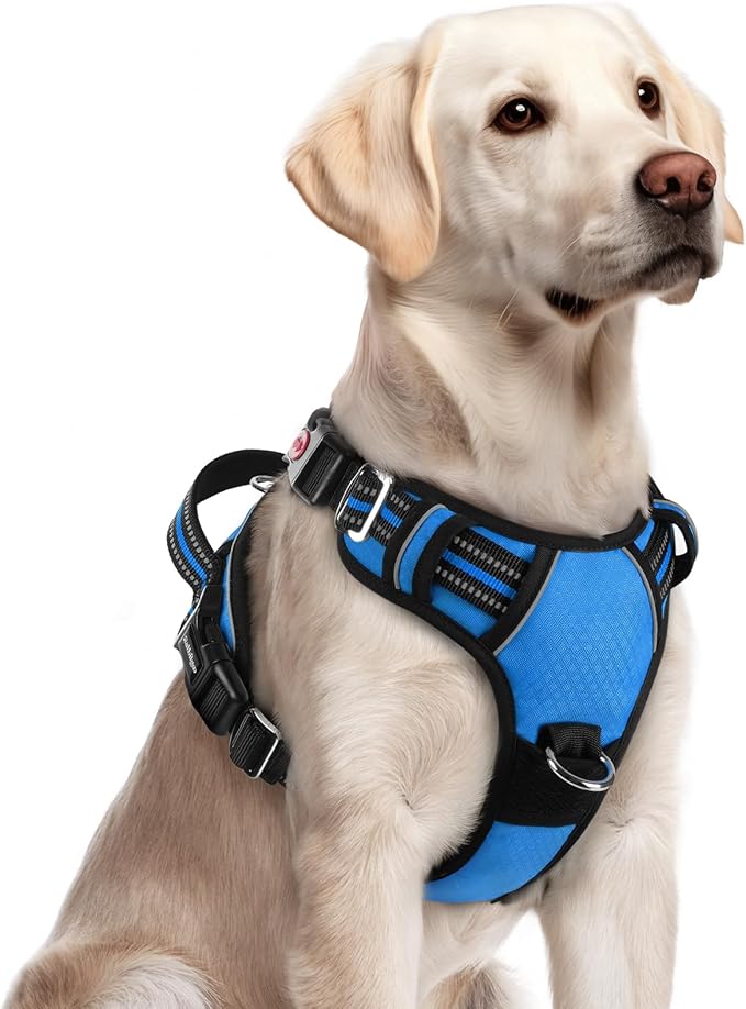 rabbitgoo Dog Harness for Large Dogs, No Pull Pet Vest with 3 Buckles, Adjustable Soft Padded Pet Harness with Easy Control Handle and Reflective Strips, Blue, L-Mewly Pet