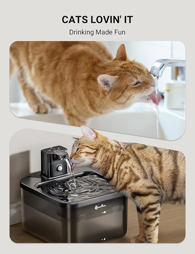 DownyPaws Battery Operated Cat Water Fountain, 84oz/2.5L Fursink Wireless Cat Waterer Fountain with Motion Sensor, BPA-Free, Black with 6 Filters-Mewly Pet