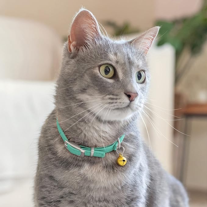 CollarDirect Leather Cat Collar with Bell - Kitten Collar, Small and Big Cat Collar for Boy Cats, Girl Cats with Safety Elastic Strap (Neck Fit 8"-11", Mint Green)-Mewly Pet