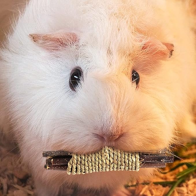 Rabbit Toys, 3 Types Hamster Chew Toys for Teeth Grinding, Improve Dental Health, Best Bunny Toys for Rabbits, Guinea Pigs, Chinchillas, Hamsters-Mewly Pet