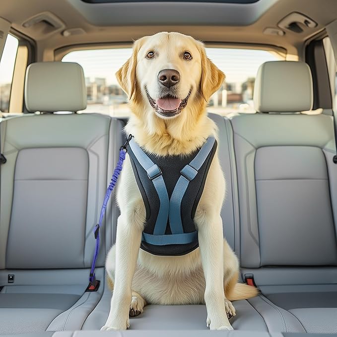 3 Pack Thickened Dog Seat Belt, Set Retractable Dog Car Adjustable Seatbelts for Vehicle Nylon Pet Safety Heavy Duty & Elastic & Durable Car Harness for Dogs, Blue-Mewly Pet