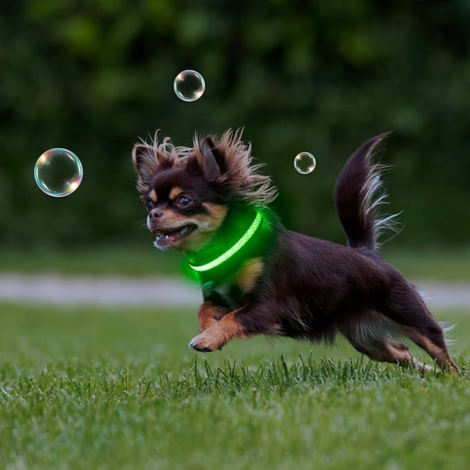 Flashseen LED Cat Collar,Light Up Dog Collar Rechargeable, Dog Lights for Night Walking, Comfortable Soft Mesh Pet Collar Adjustable for Cats Puppy and Small Dogs(Neon Green, XS)-Mewly Pet