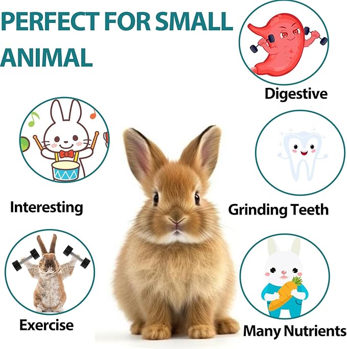 HERCOOCI 18Pcs Rabbit Chew Toys, Bunny Treats and Ball Timothy Hay Stick Toys for Rabbit Bunny Guinea Pig Chinchilla Hamster Teeth Care-Mewly Pet