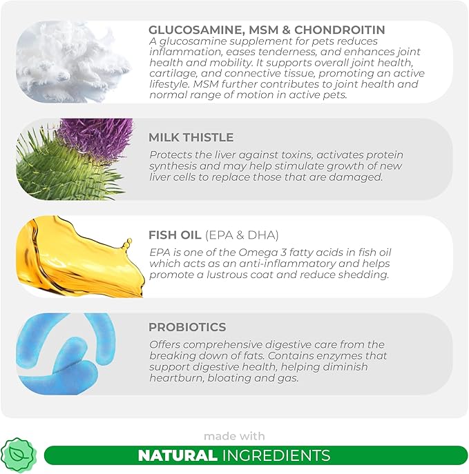 10 in 1 Multivitamin for Dogs - 120 Chewable Tablets with Glucosamine and Chondroitin - Fish Oil & Vitamins with Coq10 for Skin & Heart Health, Gut & Immune Support-Mewly Pet