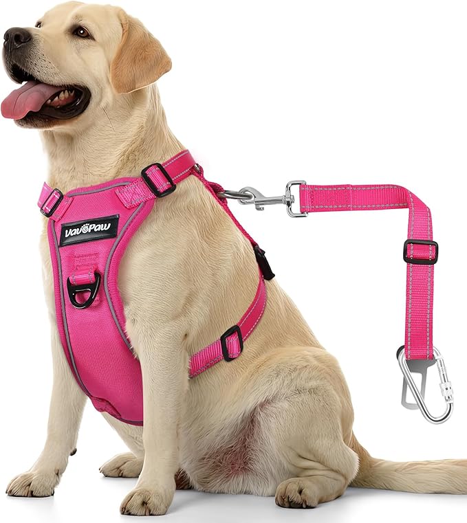 Dog Seat Belt Harness for Car, Dog Car Harness Adjustable Mesh Breathable & Dog Seatbelt Safety Tether with Elastic Bungee for Small Medium Large Pets(Rose, XL)-Mewly Pet