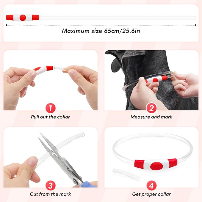 BSEEN Light Up Dog Collar - Rechargeable LED Dog Collar - 360° Glow in The Dark Pet Collar for Small Medium Large Dogs, TPU Cuttable Puppy Collar Safety Dog Lights for Night Walking (Red 70cm)-Mewly Pet