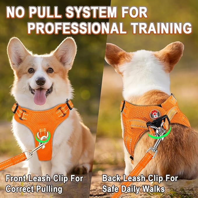 Dog Harness Step in Dog Vest Harness, Reflective Adjustable Puppy No Pull Harness Breathable Soft for Small and Medium Dogs Cats, Orange, XS-Mewly Pet