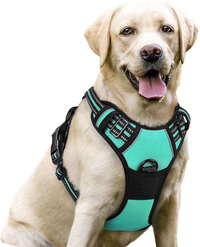 rabbitgoo Dog Harness No Pull with 2 Leash Clips, Adjustable Soft Padded, Reflective Oxford No Choke Pet Vest with Easy Control Handle for Large Dogs, Turquoise, L-Mewly Pet