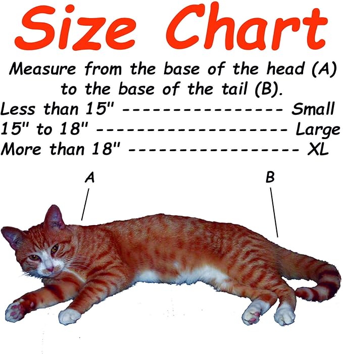 Cozy Comfort Carrier - Large Green Cat Carrier, Cat Holder for Cutting Nails, & Cat Carrier Pouch for Vet Visits, Medication Administration, Dental Care, & Travel-Mewly Pet