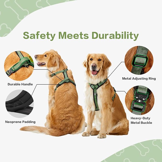 CLEPAWS Dog Harness for Large Dogs, No Pull Dog Harness Easy Walk with Metal Hardware, Ergonomic Y-Shaped Design, Soft Padding, Padded Handle, Durable High-Tensile Nylon (Evergreen, L)-Mewly Pet
