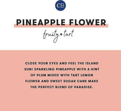 Capri Blue Reed Diffuser - Reed Diffuser Set Includes Scented Oil, Sticks, and Mercury Iridescent Glass Bottle - Home Decor Room Fresheners - Pineapple Flower (5.7 fl oz)