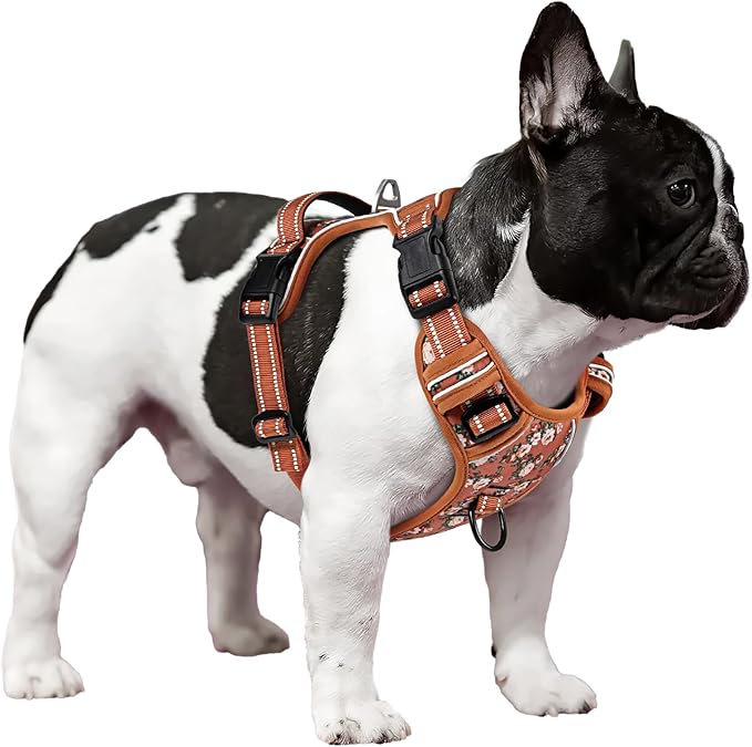 Timos Dog Harness, No Pull Dogs Harness 3 Snap Buckles Adjustable Reflective No Choke Pet Vest for Small Dog with Soft Padded Control Training Handle for Outdoor Training,Flower Orange, XS-Mewly Pet