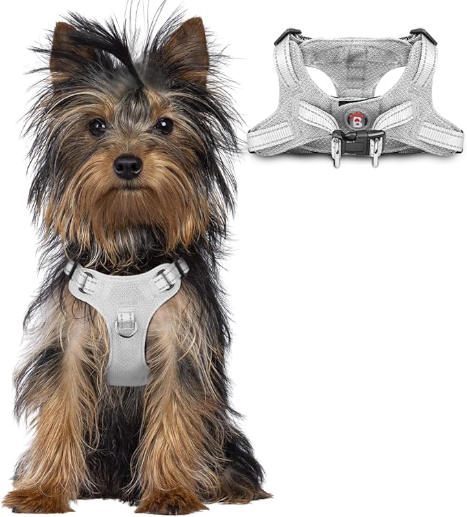 BARKBAY Dog Harness, Reflective Adjustable No Pull Harness, Breathable Soft, Grey, XXS-Mewly Pet