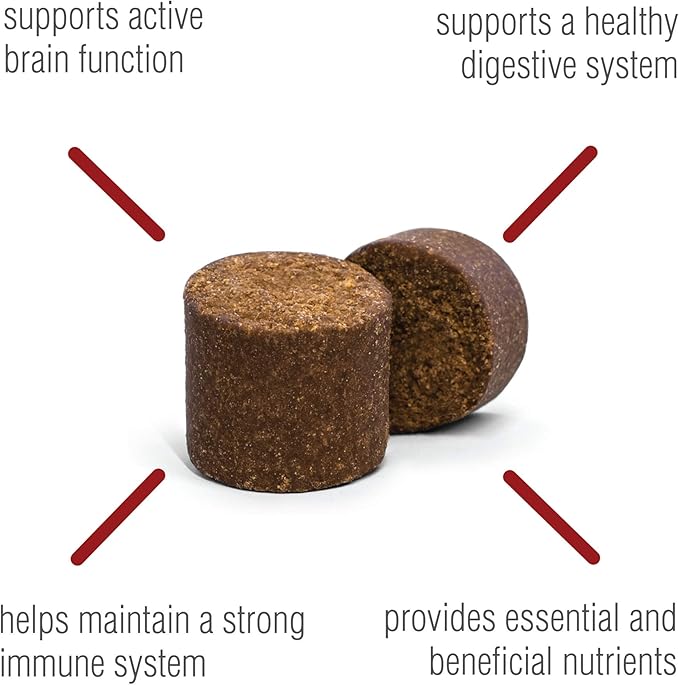 VetIQ Multivitamin Supplement for Dogs, Health Support Supplement Soft Chews, 90 Count-Mewly Pet