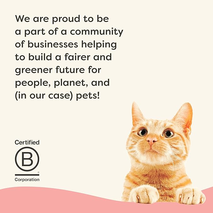 Applaws Vitality Wet Cat Food in Broth, Natural Canned Cat Food, Wet Food for Cats with Added Vitamins and Minerals, Grain and Carrageenan Free, Tuna Fillet & Salmon in Broth (24 Count, 2.47 oz Cans)-Mewly Pet