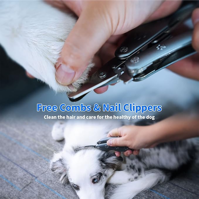 Best Dog Nail Trimmers for Anxiety Sensitive Dogs, Quiet Sharpest Smoothest Nail Clippers for Large Dog Medium Small, Professional Stainless Steel with Nail File & Comb, Left-Handed Friendly-Mewly Pet