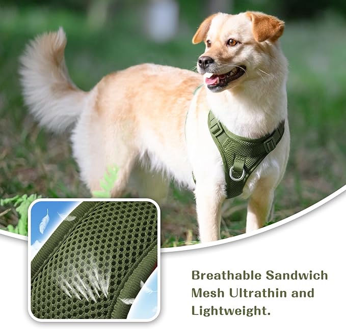 No Pull Dog Harness for Small Medium Large Dogs - Adjustable Two-Layer Mesh Dog Vest with Dual Clip, Escape Proof, Quick Release, Lightweight Breathable Mesh for Walking Hiking (Misty Green,L)-Mewly Pet