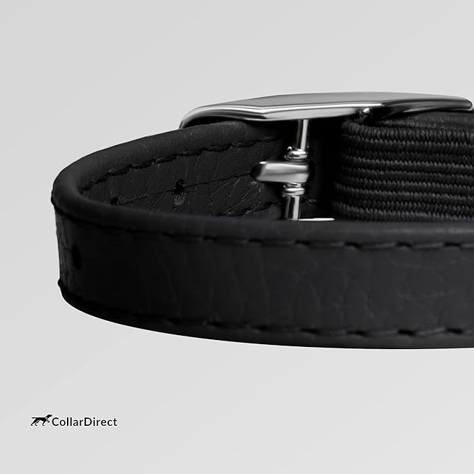 CollarDirect Leather Cat Collar, Kitten Collar with Removable Bell Black Blue Red Orange Lime Green (8-11 Inch, Black)-Mewly Pet