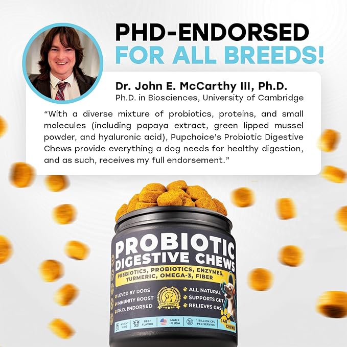 Probiotics for Dogs - PhD Endorsed Digestive Enzymes - Gut Health, Diarrhea & Bowel Support - Dog Treats with Turmeric, Omega-3 & Fiber - Immune Soft 140 Chews - Beef Flavor - Made in USA-Mewly Pet