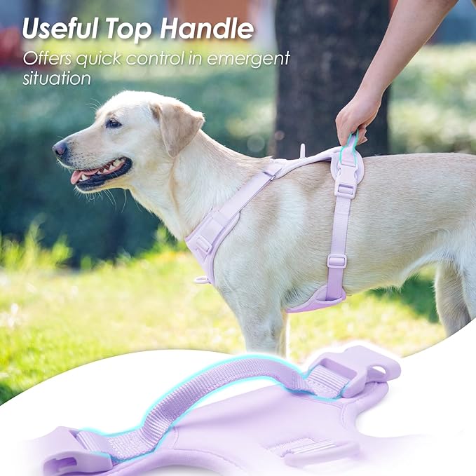 No Pull Dog Harness, Puppy Vest with Front Clip for Small Medium Large Sized Dog(Light Purple,M)-Mewly Pet
